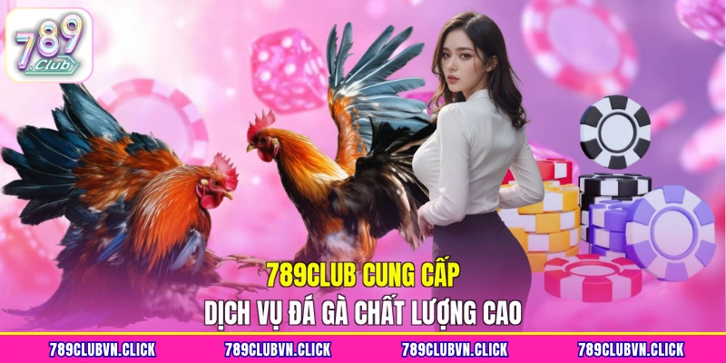 789CLUB cung cấp dịch vụ đá gà chất lượng cao