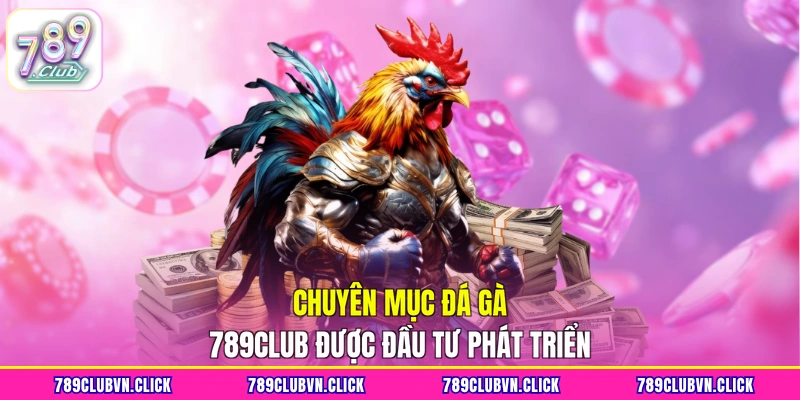 Chuyên mục đá gà 789CLUB được đầu tư phát triển