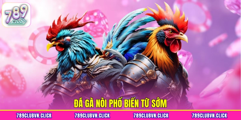 Đá gà nòi phổ biến từ sớm