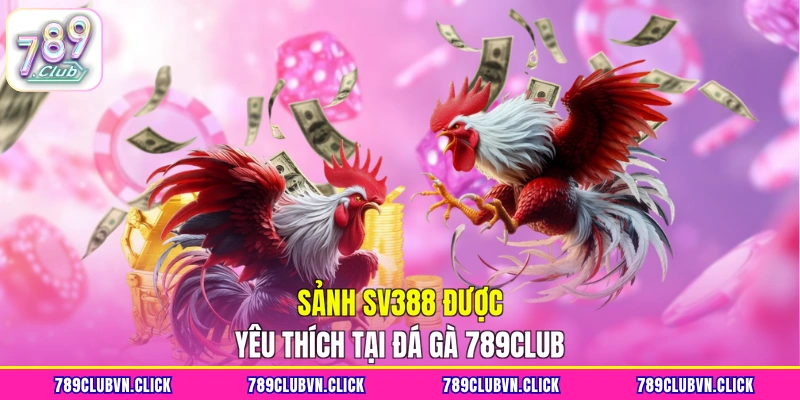 Sảnh SV388 được yêu thích tại đá gà 789CLUB